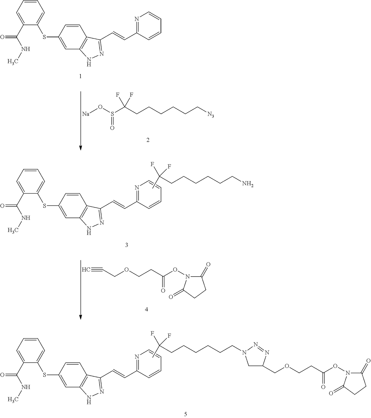 Labeling Reagent Containing A Molecularly Targeted Drug