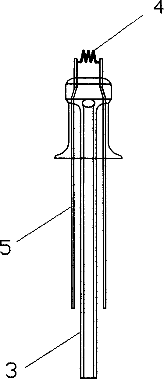 Lamp tube with shade lamp and its producing method
