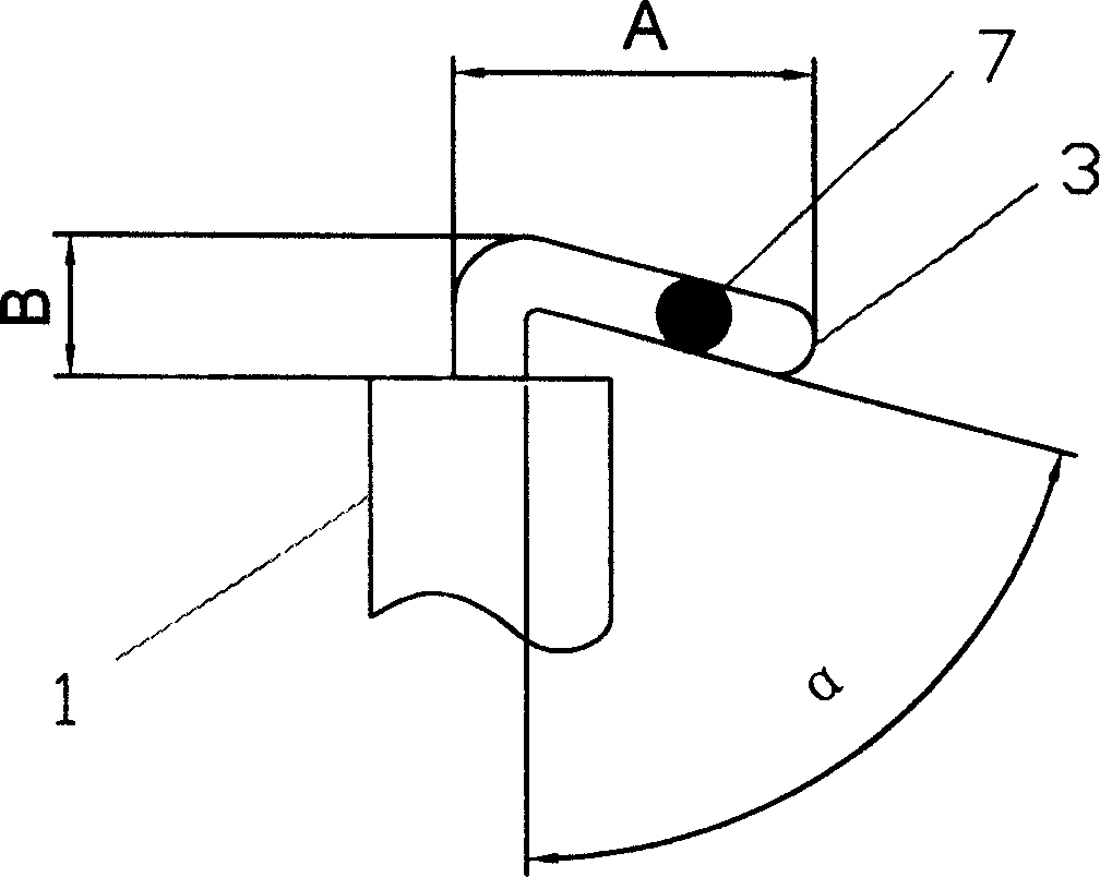 Lamp tube with shade lamp and its producing method