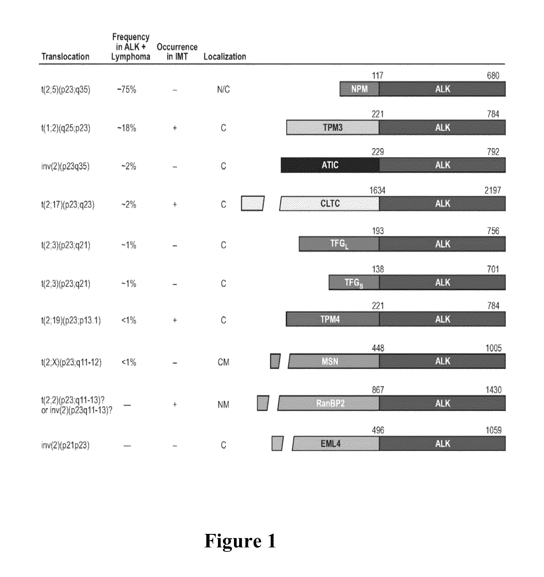 Kit comprising primers for amplifying ALK kinase domain nucleic acids