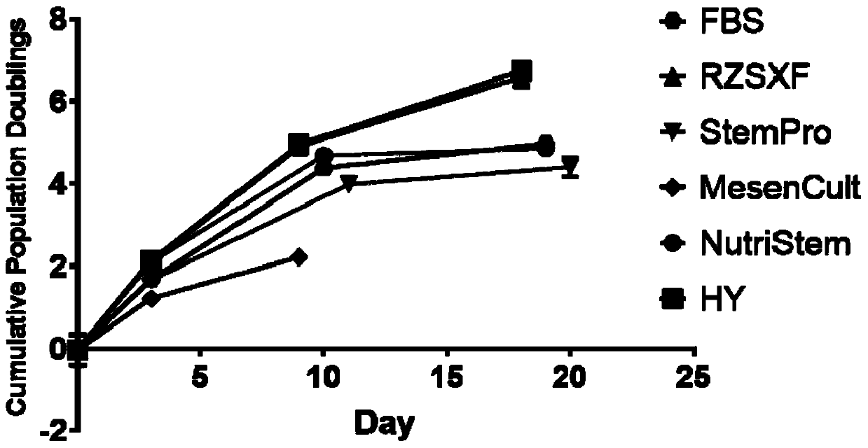 Human stem cell RZSXF-SC and establishing method and application thereof