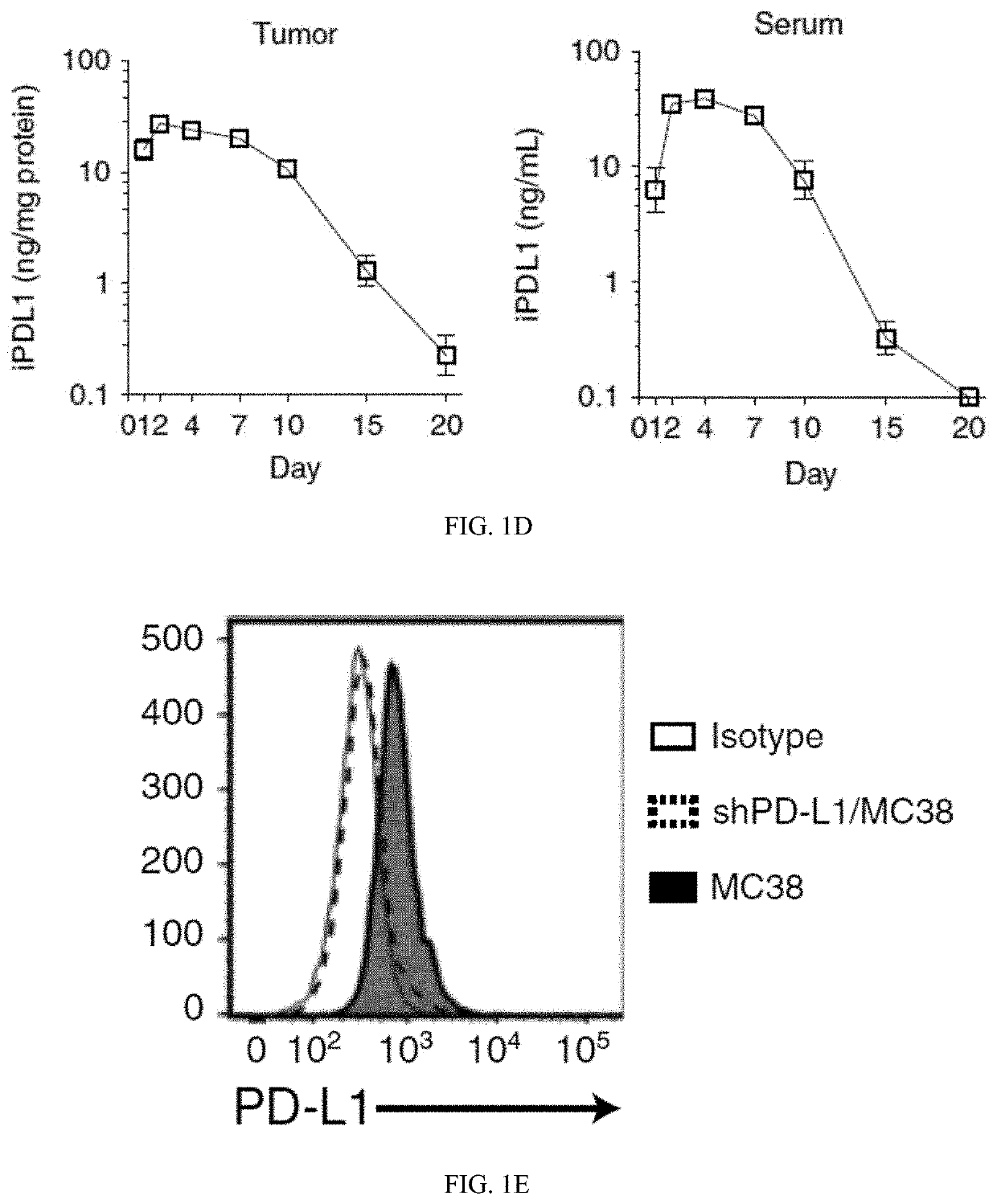 Engineered oncolytic viruses expressing pd-l1 inhibitors and uses thereof