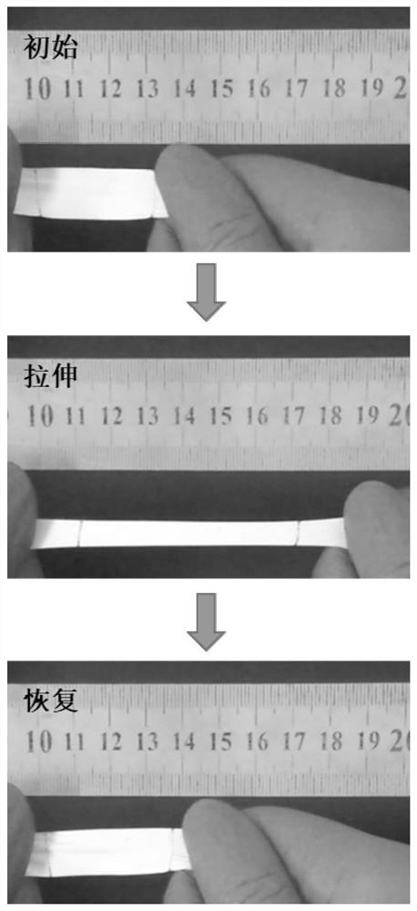 Preparation method of gradient elastic waist for paper diapers with one-way moisture transfer function