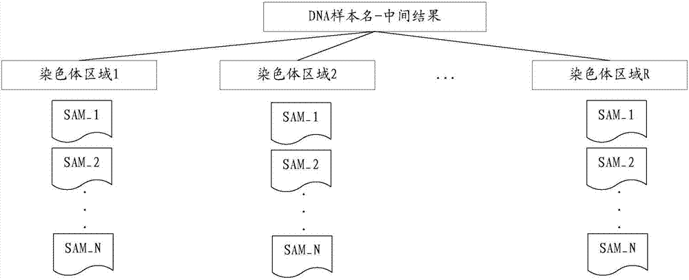DNA sequence processing method and apparatus
