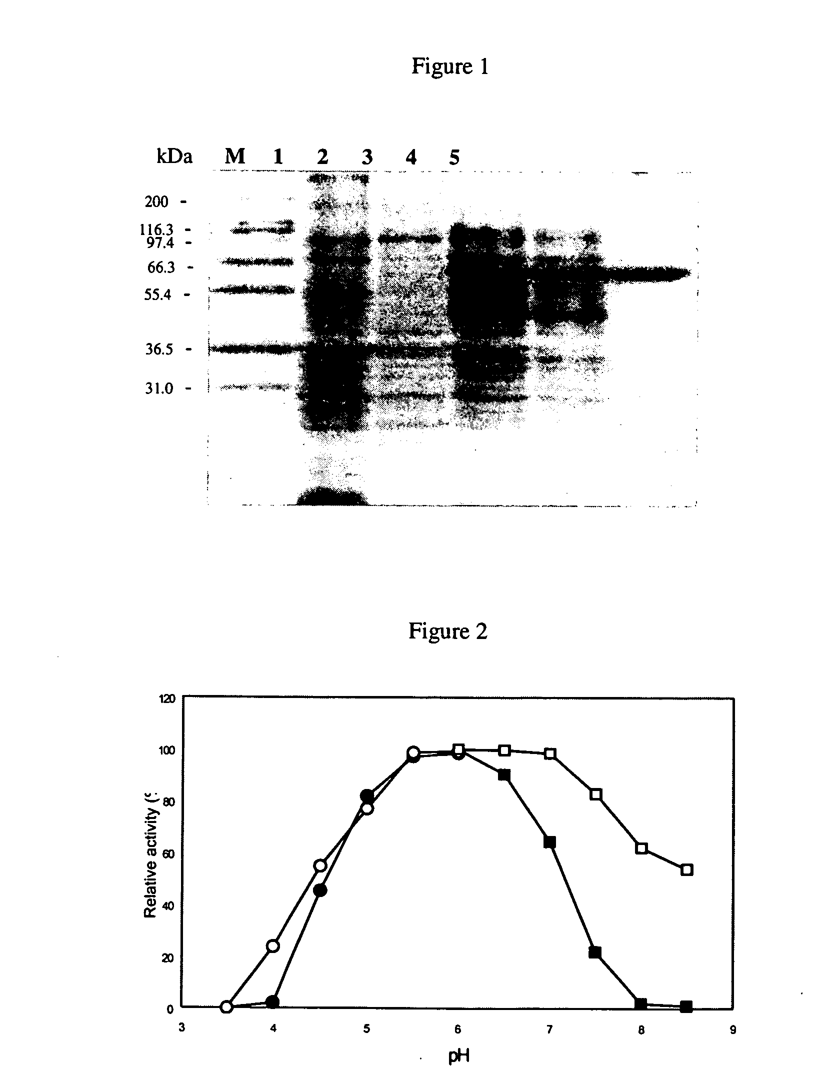 Novel trehalose synthase from Picrophilus torridus and methods of use thereof