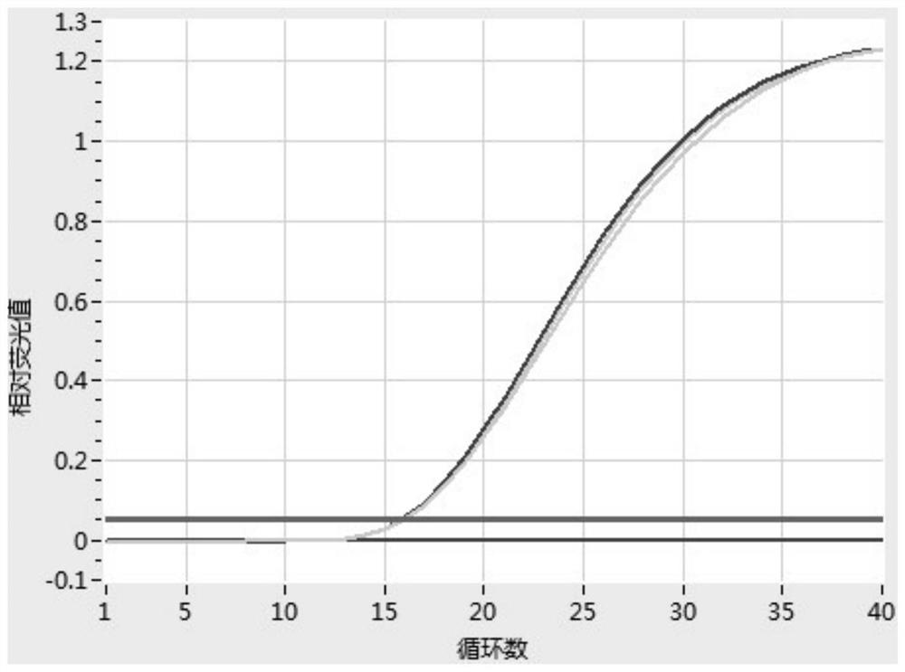 Specific primer, probe and real-time fluorescent quantitative PCR (Polymerase Chain Reaction) detection kit for detecting Clavibacter michiganensis subsp. nebraskensis