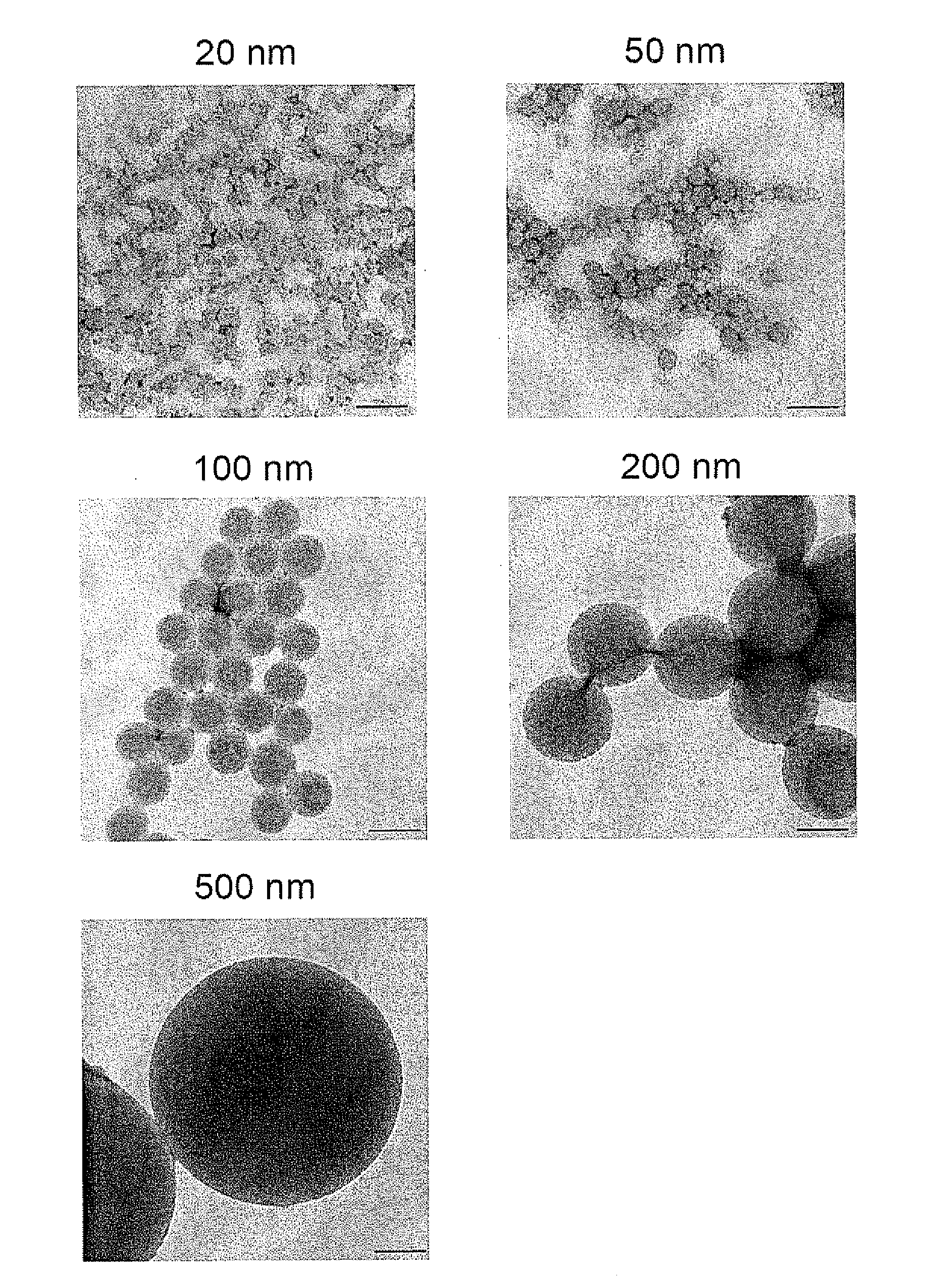 Method for screening size of carrier