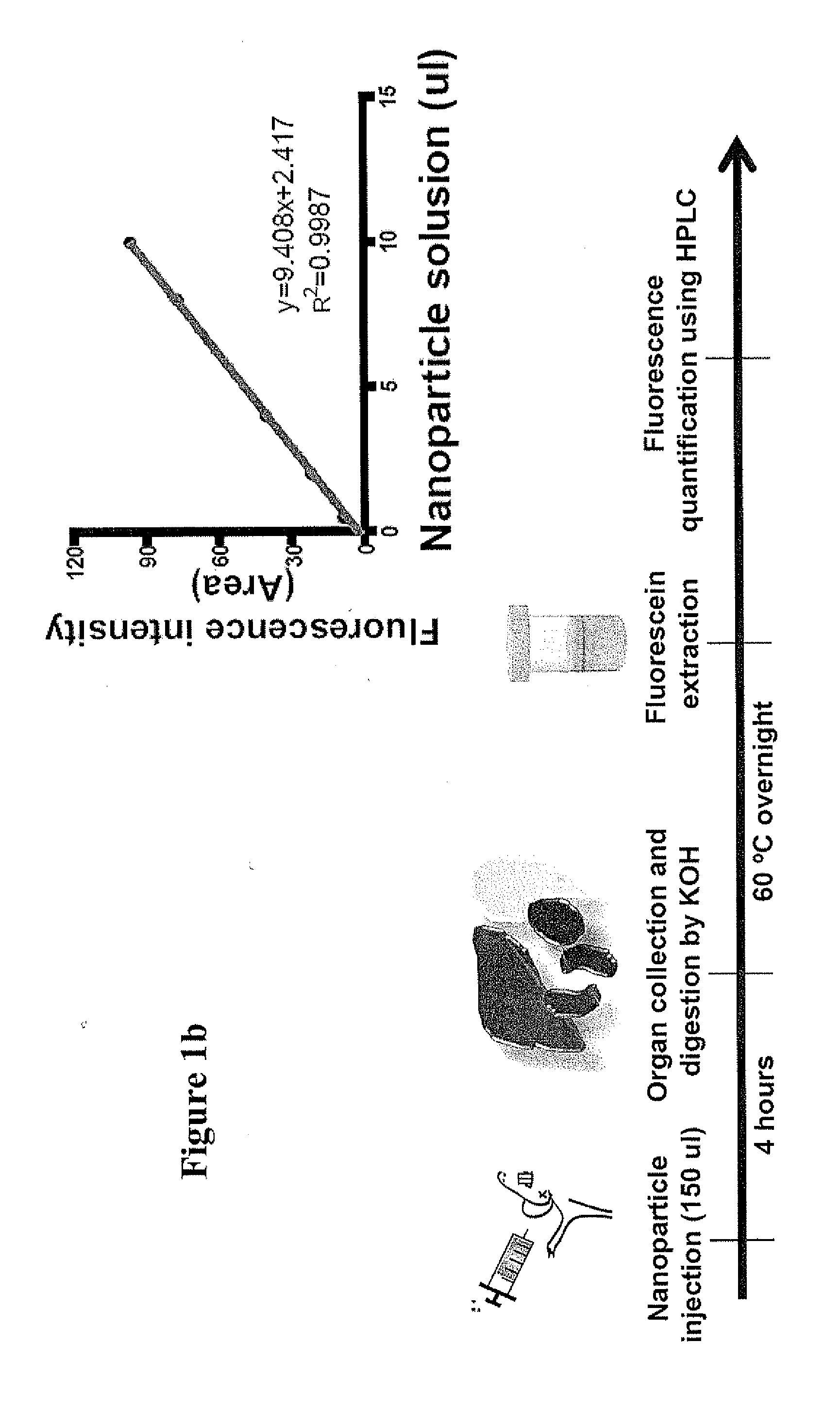 Method for screening size of carrier