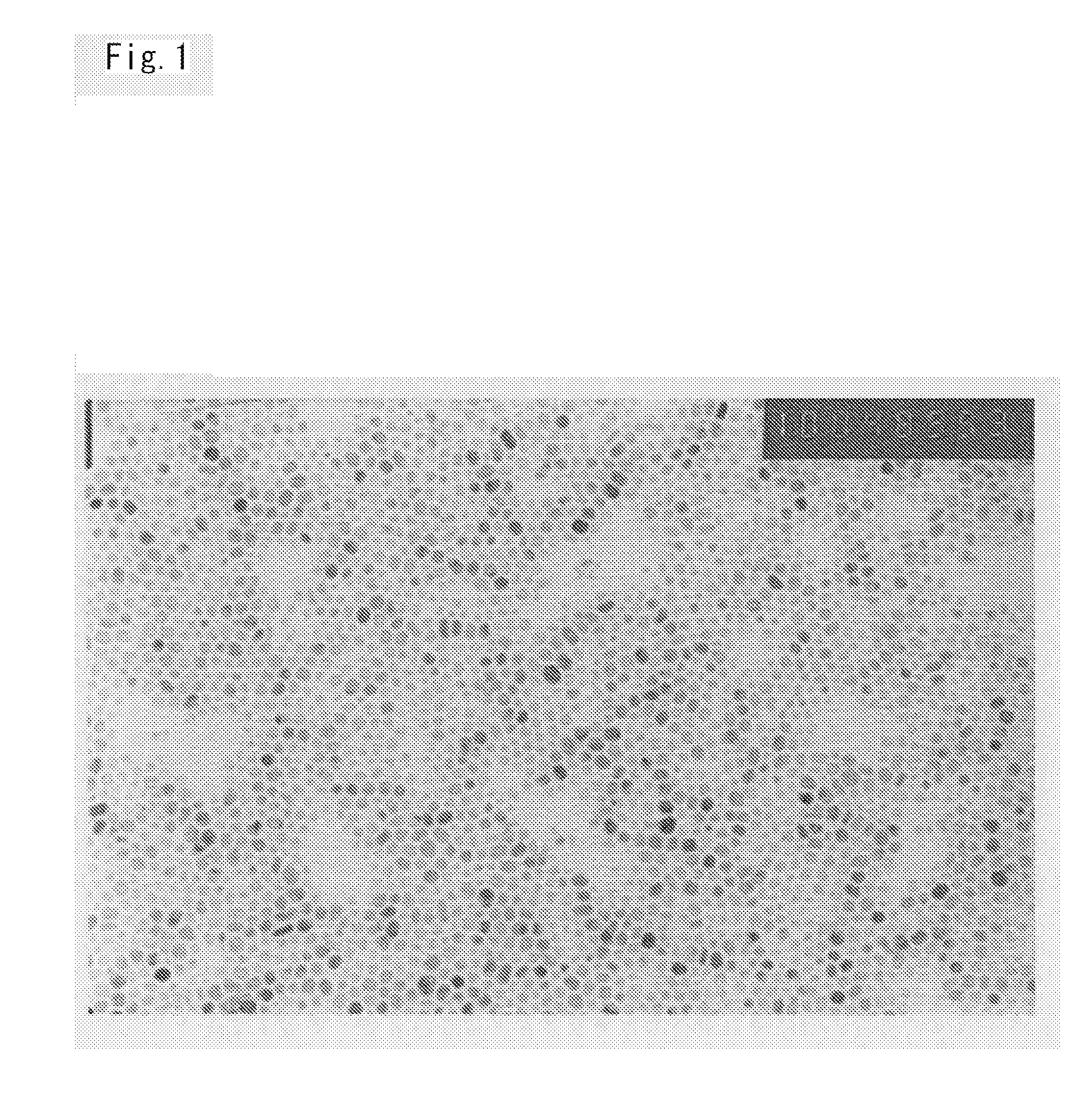 Low-temperature sinterable metal nanoparticle composition and electronic article formed using the composition