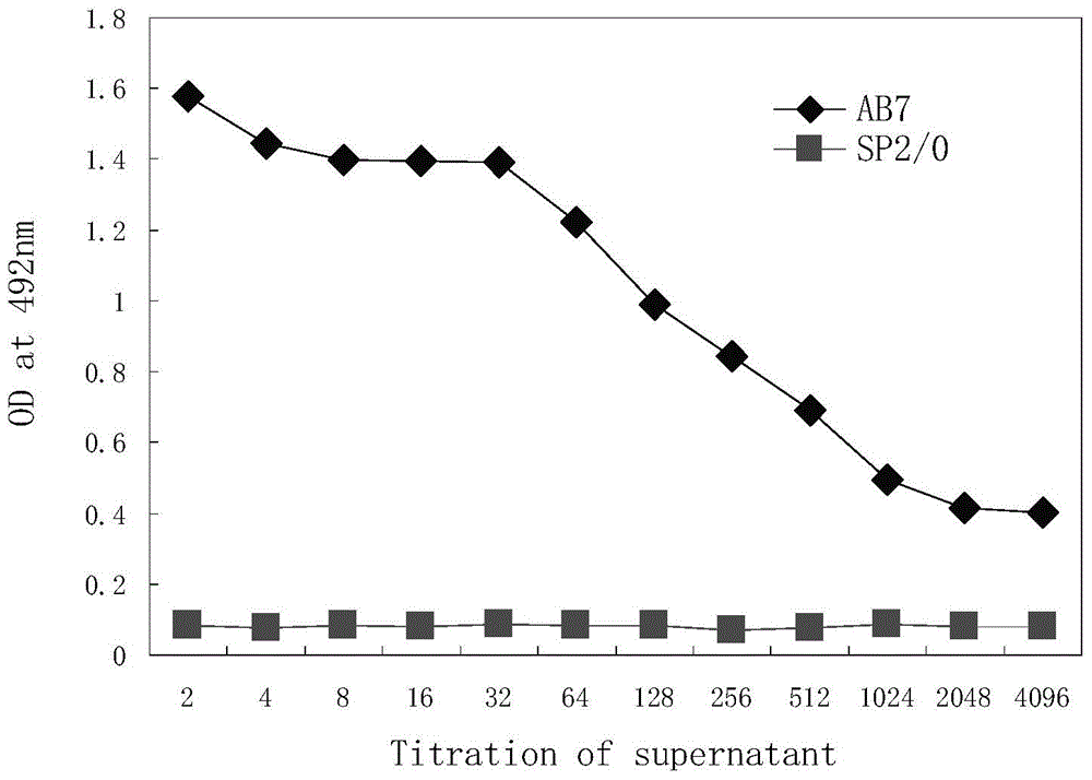 Monoclonal antibody capable of antagonizing and inhibiting bonding of programmed death-1 receptor (PD-1) and ligand thereof as well as encoding sequence and use of monoclonal antibody