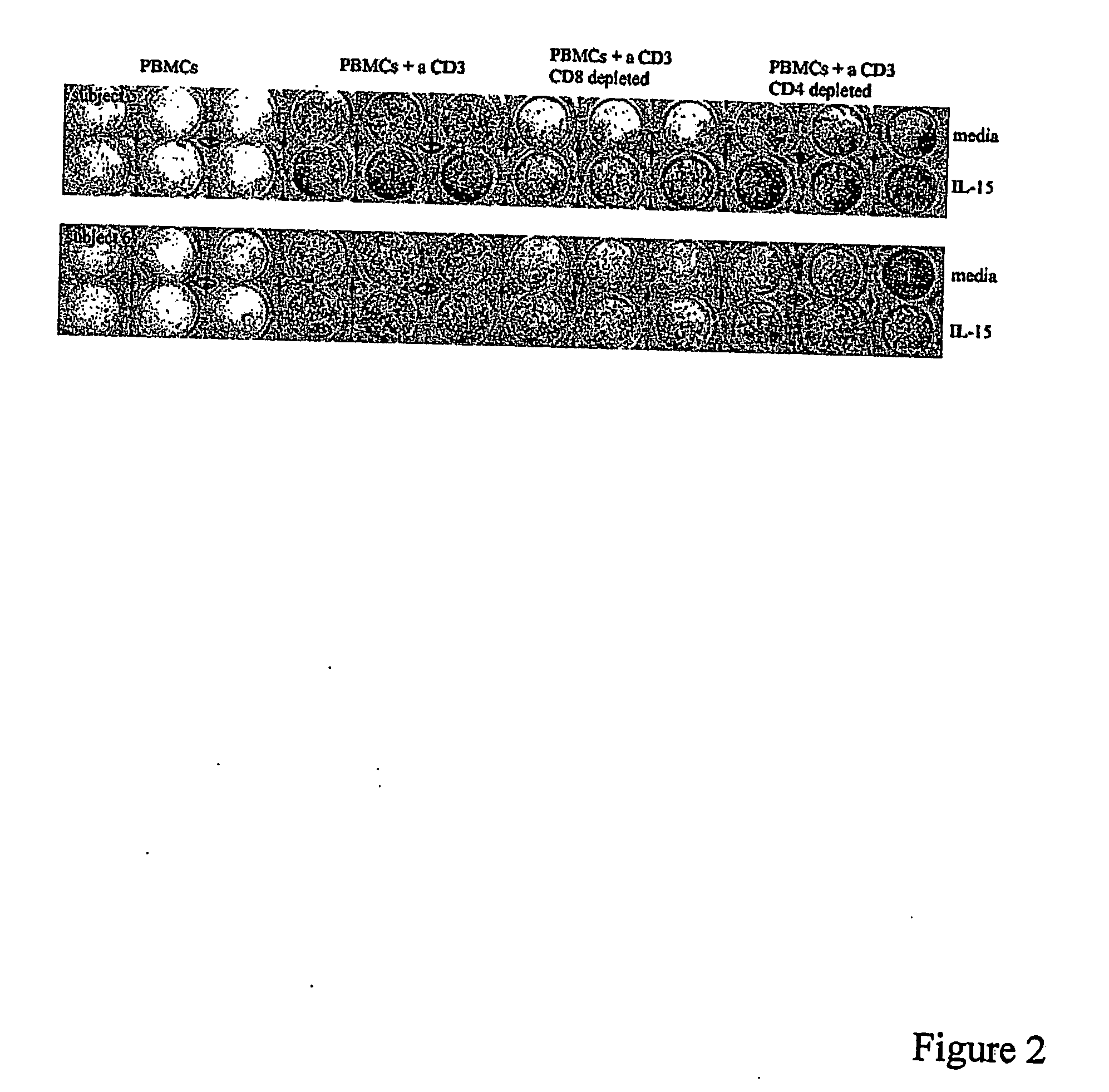 Nucleic acid sequences encoding and compositions comrpising ige signal peptide and/or il-15 and methods for using the same