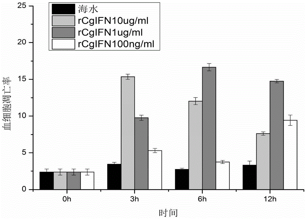 Crassostrea gigas interferoid (CgIFN-like) gene recombinant protein, and preparation and application thereof