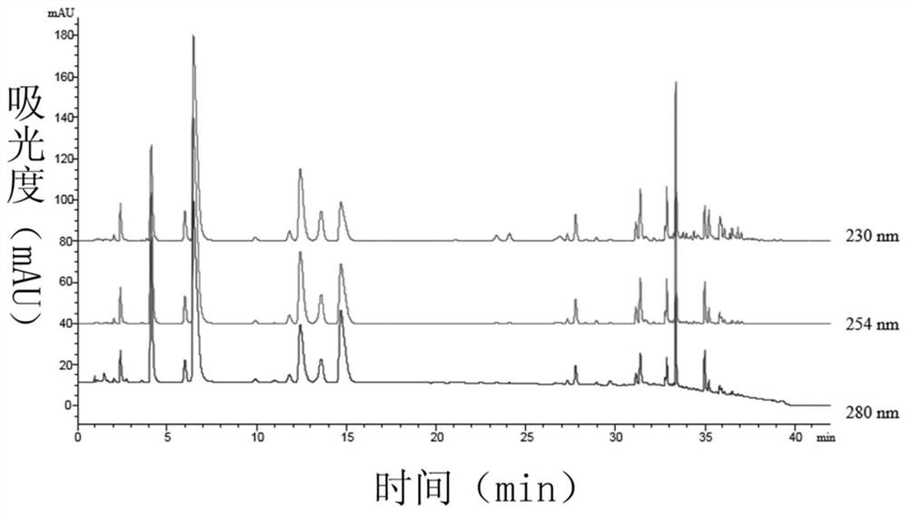 Fingerprint spectrum detection method for ivory scraps in tin powder