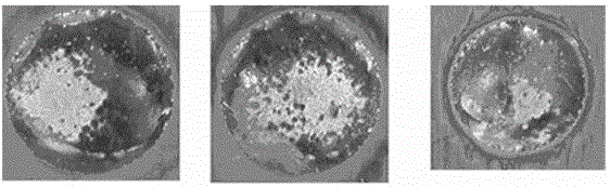 A kind of active agent for lead-free solder paste and its preparation method and a kind of lead-free solder paste