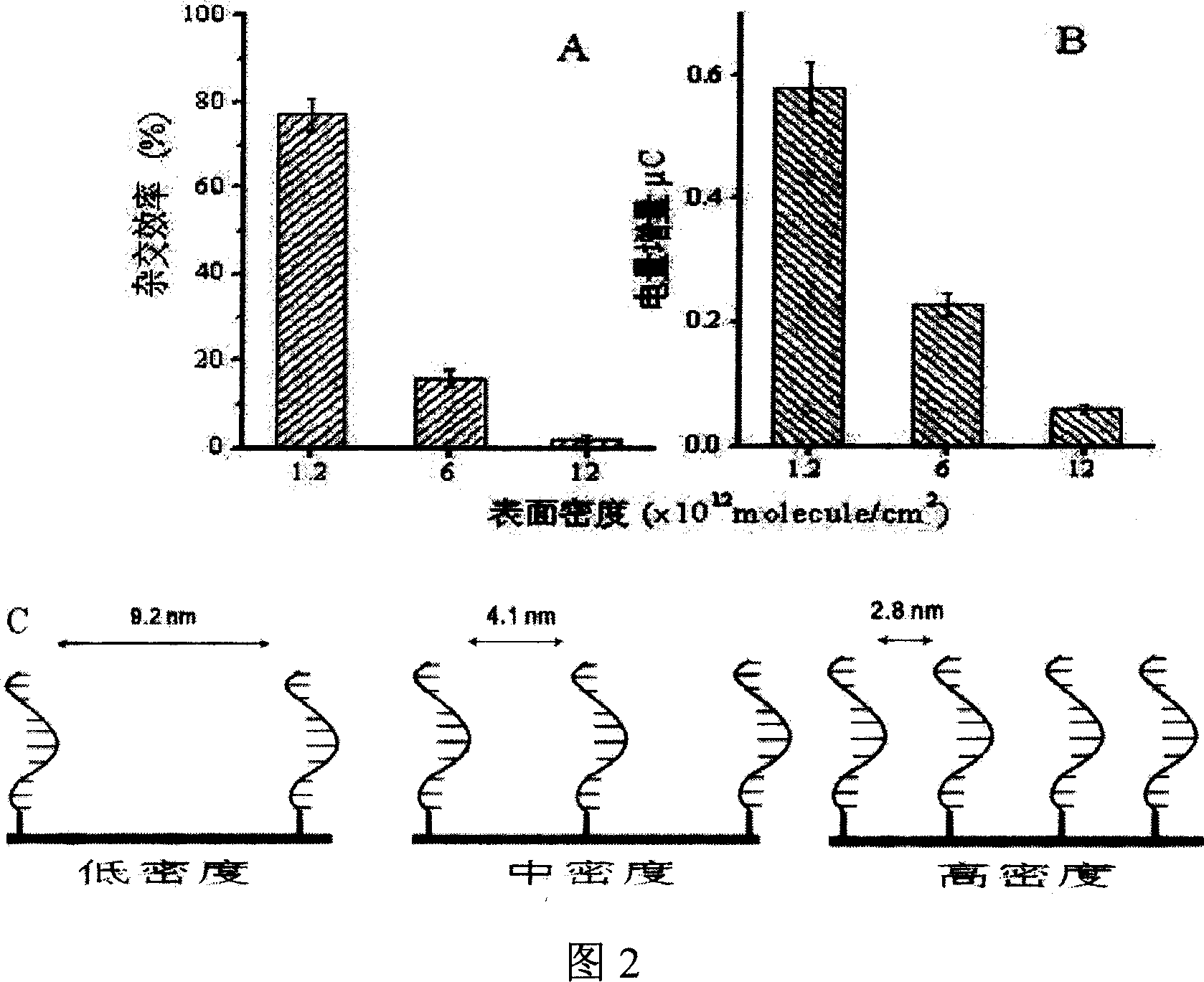 DNA electrochemical sensor and preparation method thereof