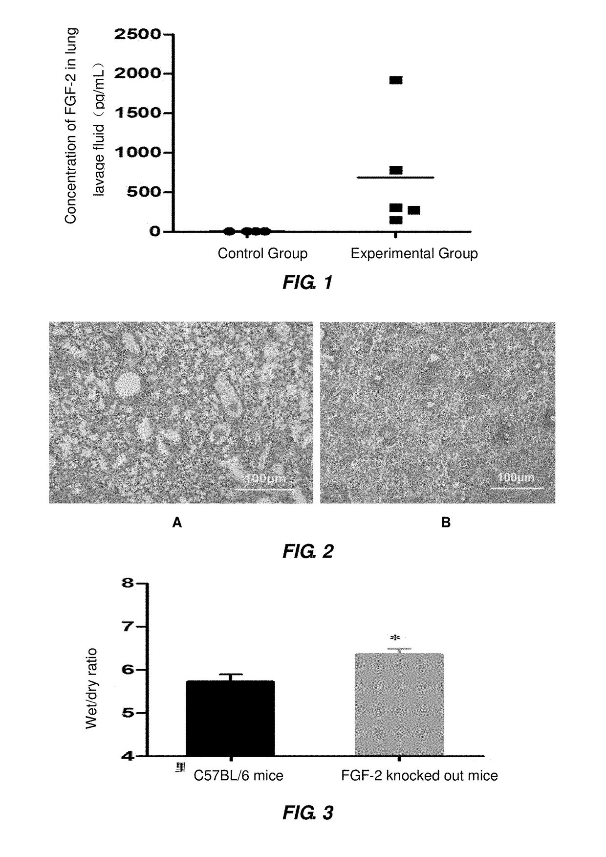 Novel use of fibroblast growth factor 2