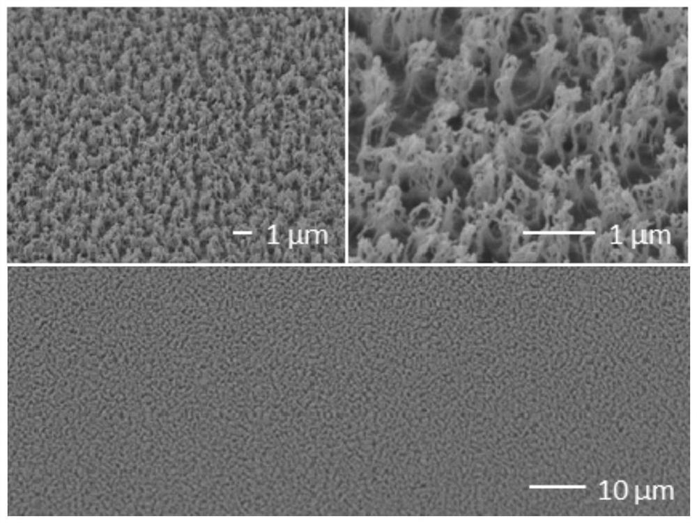 Method for preparing nano cilium structure on surface of polymer material