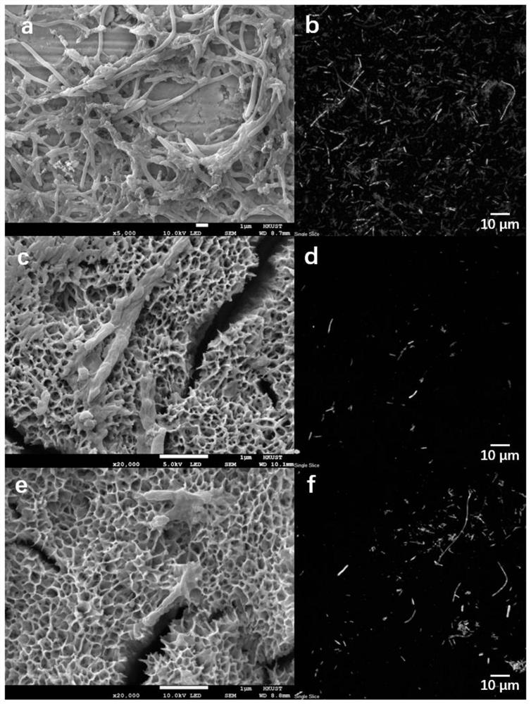 Bionic micro/nano antibacterial structure, manufacturing method therefor and application of bionic micro/nano antibacterial structure