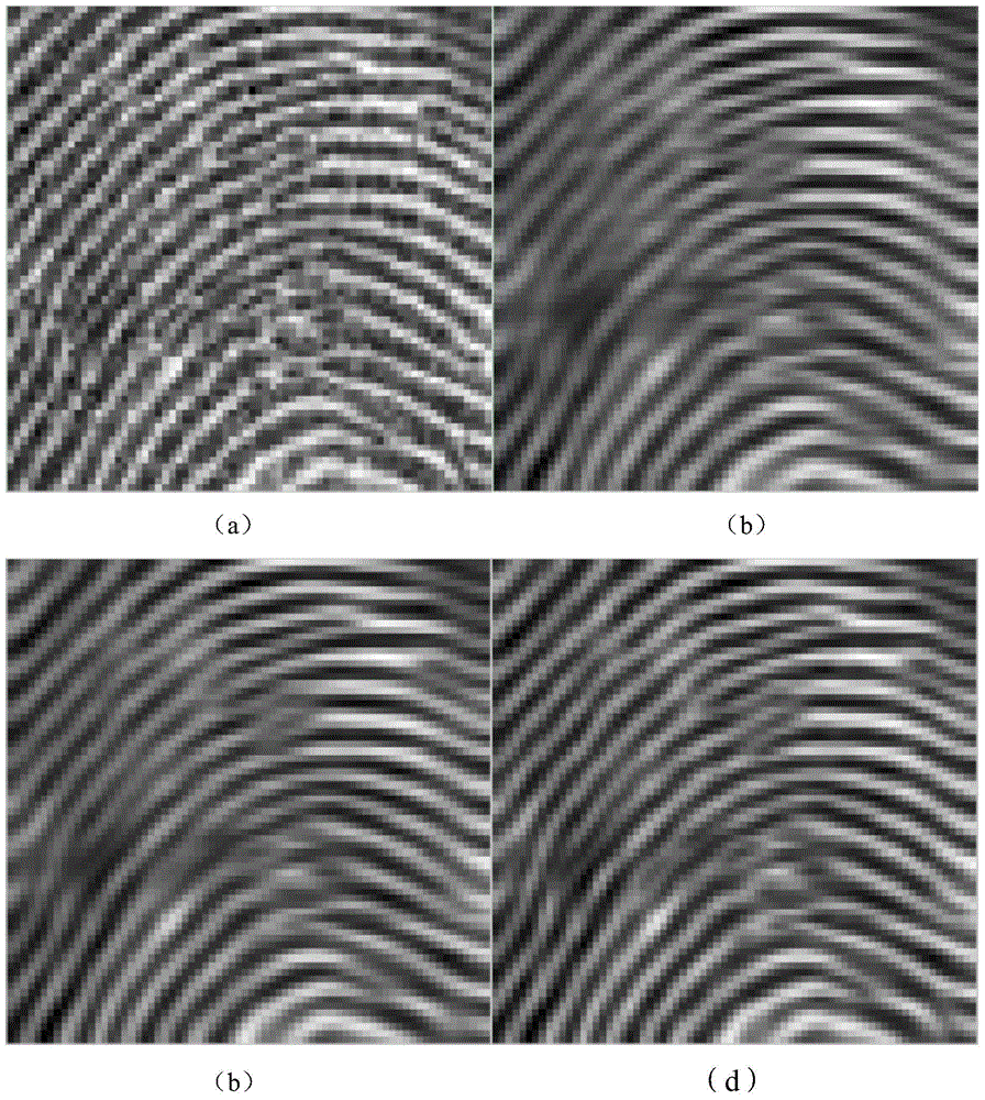 Fingerprint texture image denoising enhancing method and system