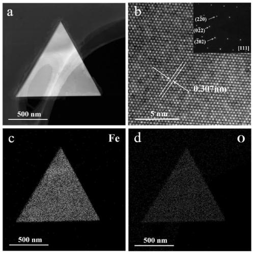 Preparation method and application of two-dimensional ultrathin Fe3O4 single crystal nanosheet