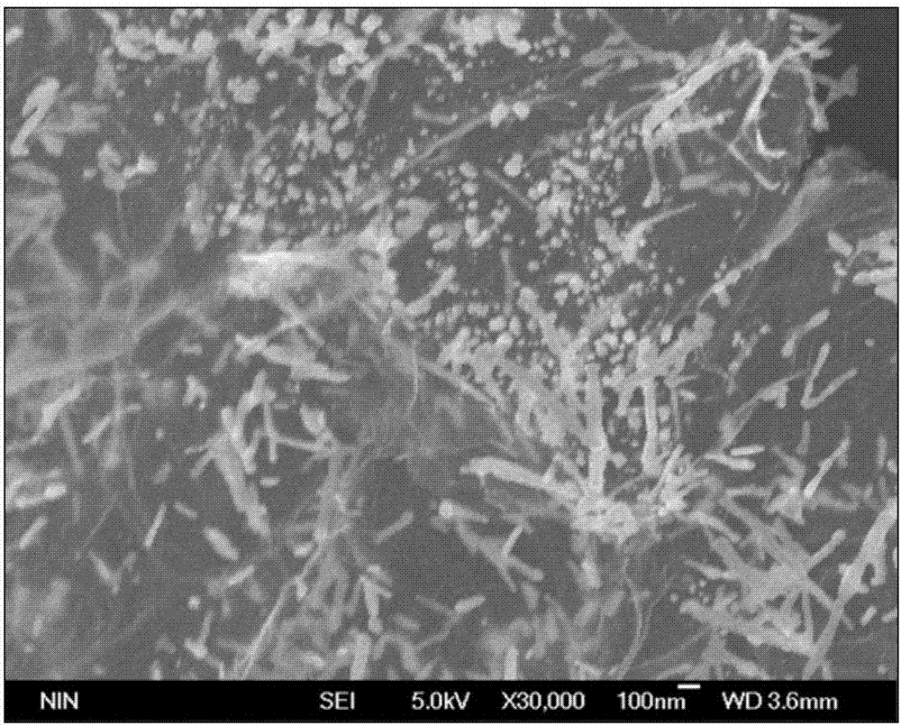 A kind of preparation method and application of graphene-coated nano-dysprosium oxide