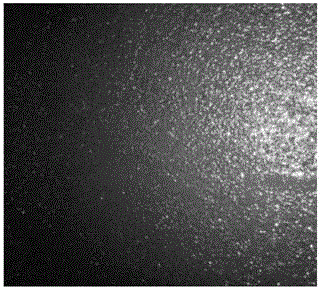 Asphalt pavement water-based enhanced fog seal material and preparation method and construction method