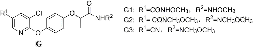 n-(Oxoethyl)-2-[4-(pyridin-2-yloxy)phenoxy]amide derivatives