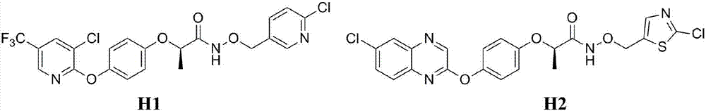 n-(Oxoethyl)-2-[4-(pyridin-2-yloxy)phenoxy]amide derivatives