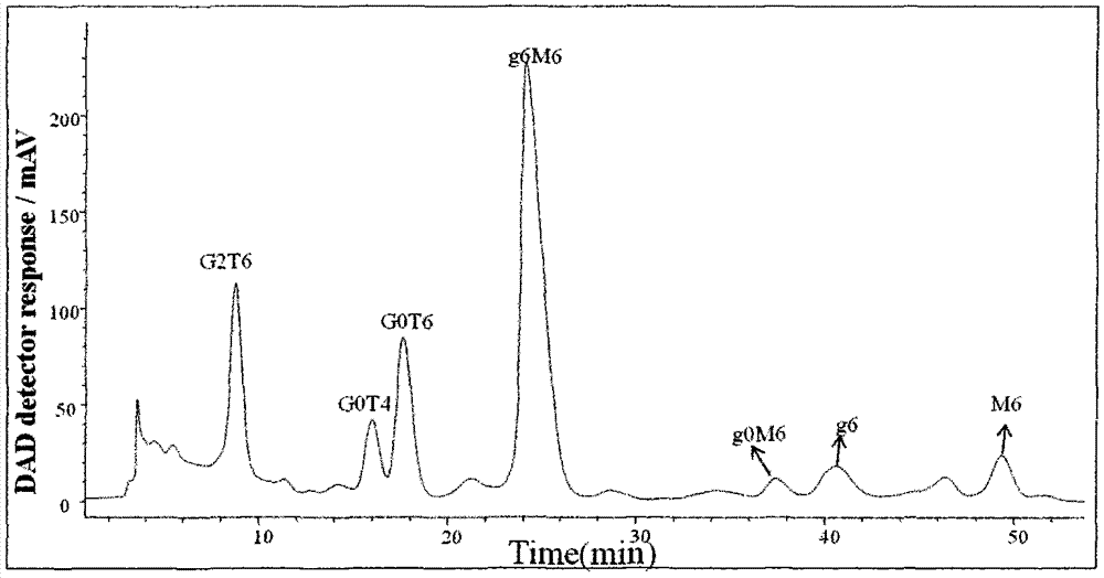 Purification and detection method for keratan sulfate in chondroitin sulfate