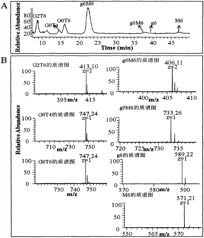 Purification and detection method for keratan sulfate in chondroitin sulfate