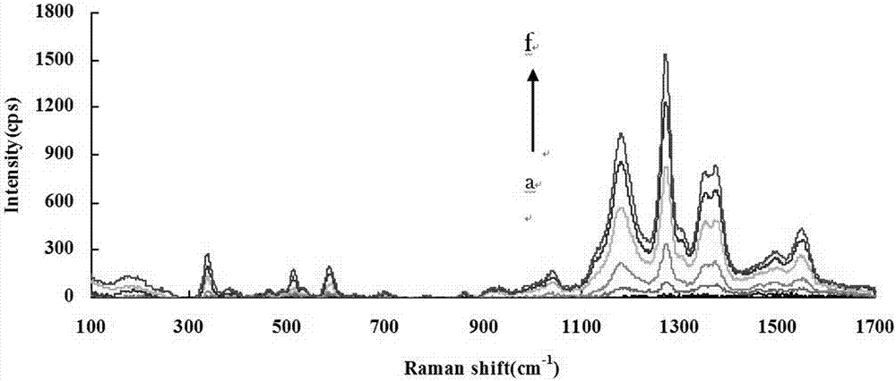 Surface enhanced Raman scattering spectroscopic method for determining sorbic acid