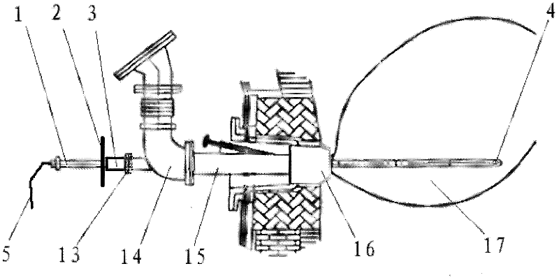 Tuyere raceway sampling and measuring device