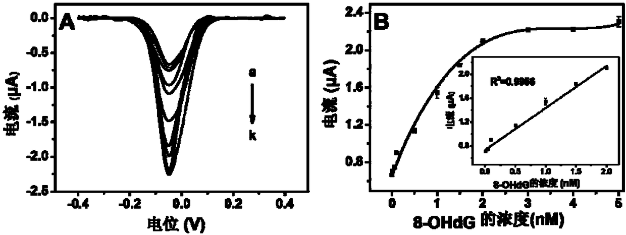 A Method for Quantitative Detection of 8-OHDG Activity Based on Aniline Deposition Electrochemical Sensing Electrode