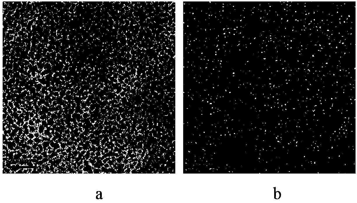 Gold nanoparticles and preparation method thereof
