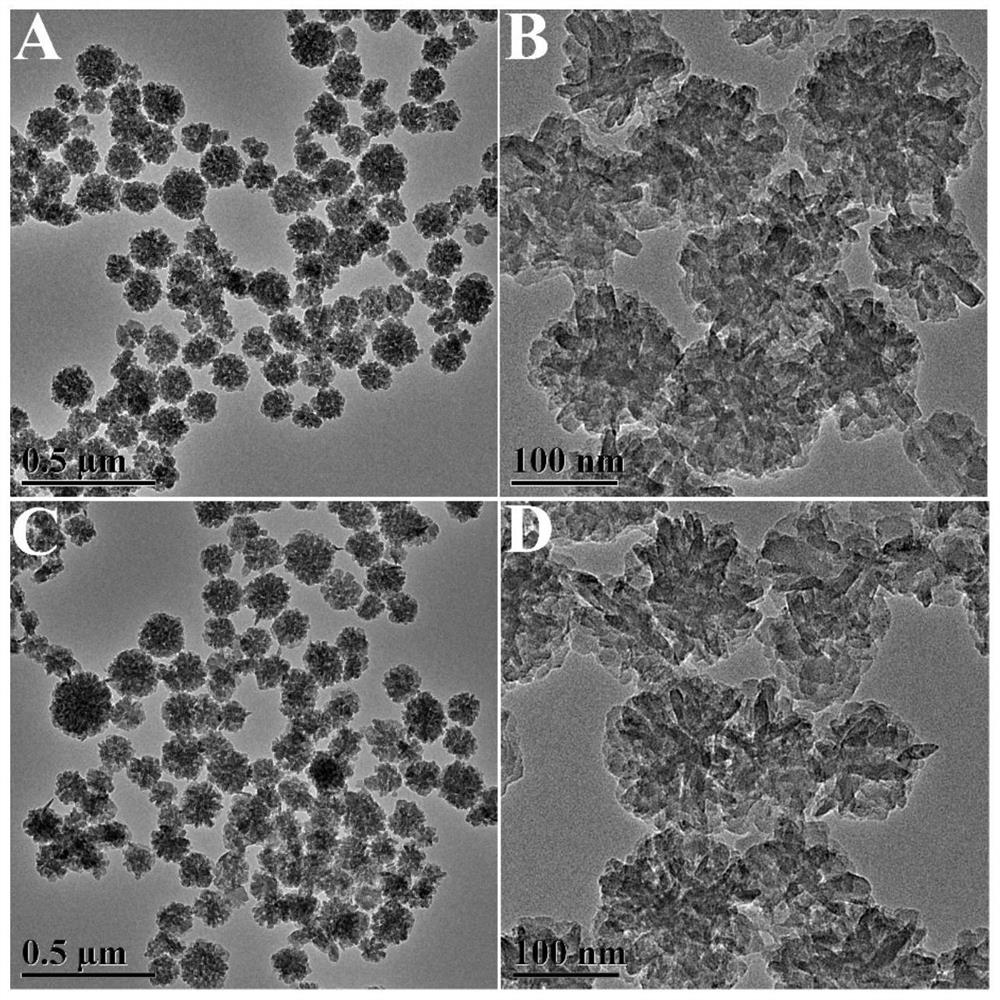 Eu-MOF nano fluorescent probe, preparation method thereof and application of Eu-MOF nano fluorescent probe in detection of anthrax biomarkers