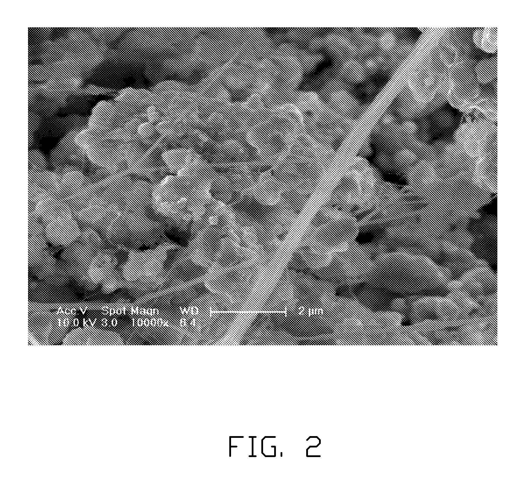 Cathode of lithium ion battery and method for fabricating the same
