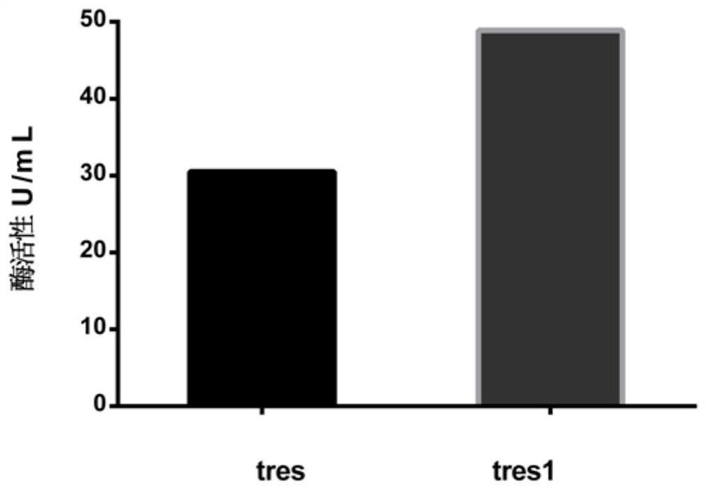 A kind of optimized sequence of trehalose synthase gene and its application