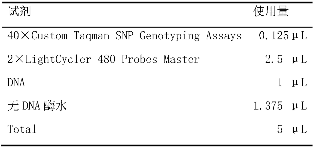 IL-6 Gene rs2069852 Locus Marker Related to Chronic Hepatitis B Virus Infection and Its Application