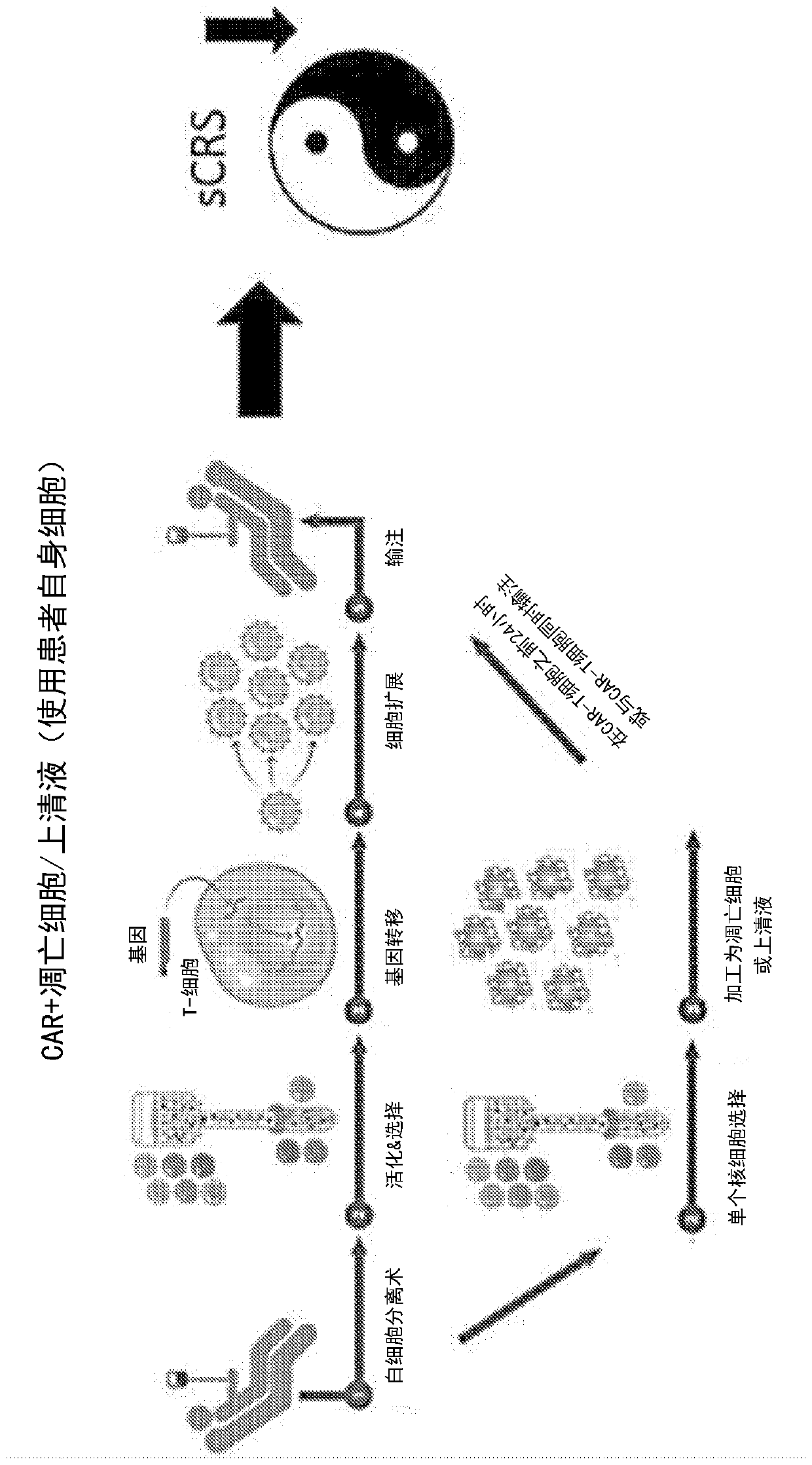 Combination immune therapy and cytokine control therapy for cancer treatment