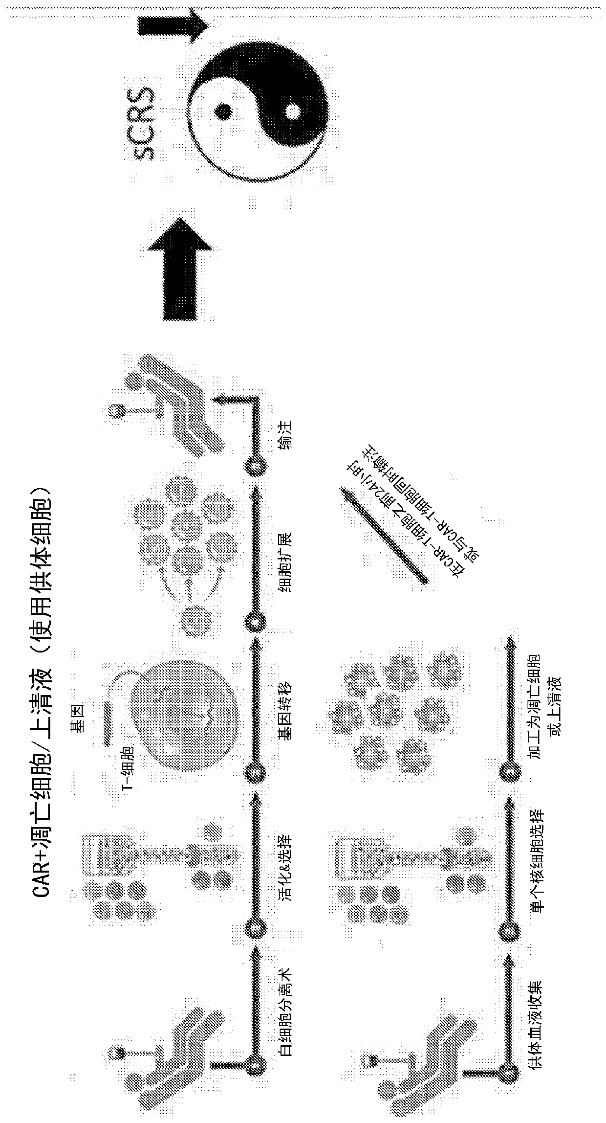 Combination immune therapy and cytokine control therapy for cancer treatment