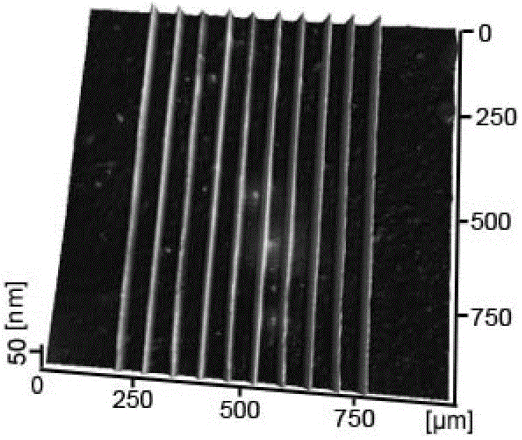 Method for texturing large-area silicon surface in multipoint contact mode