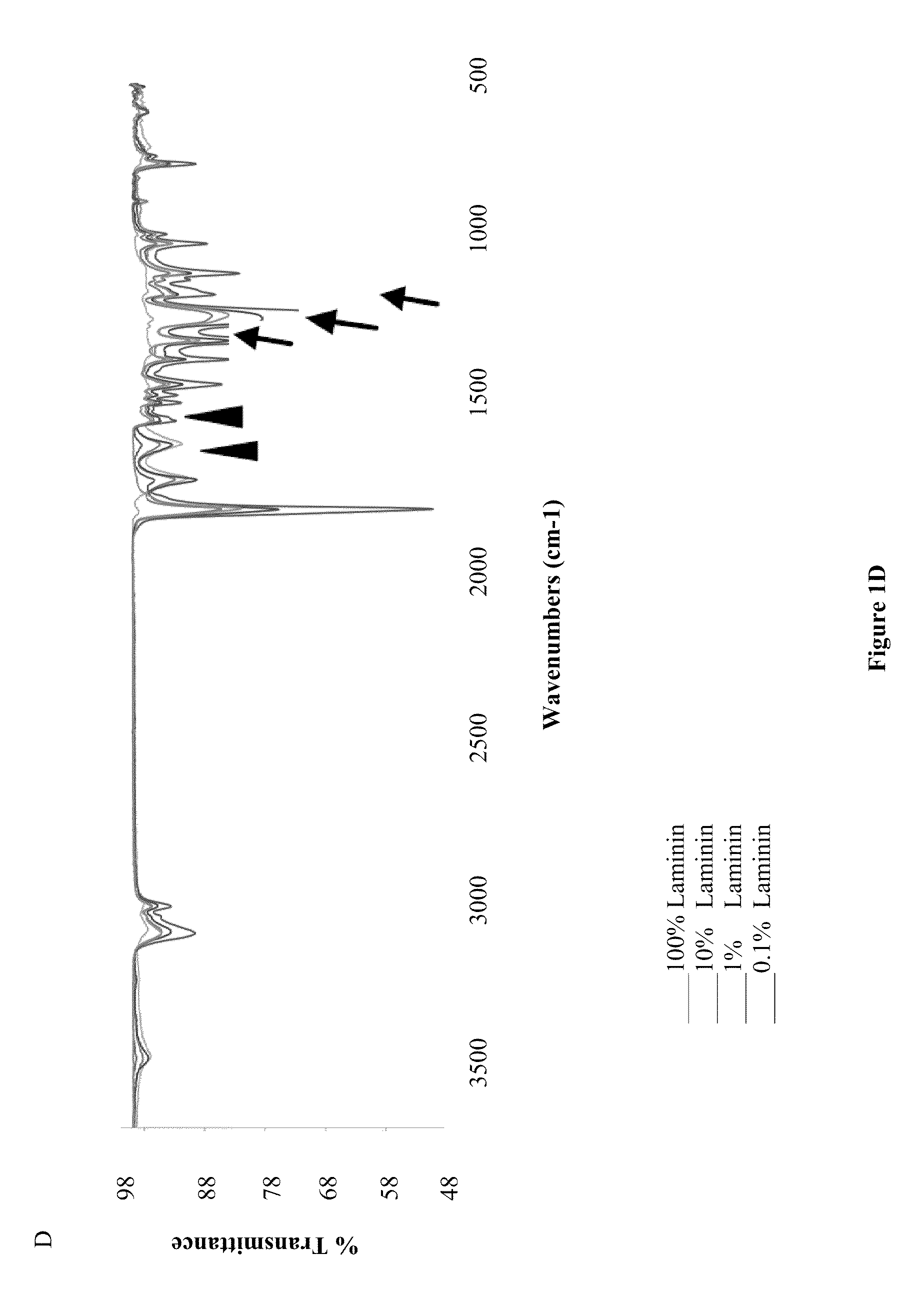 Compositions and methods for making and using laminin nanofibers