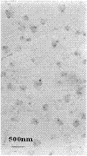 Taxol-loaded nano lipid carrier and preparation method thereof