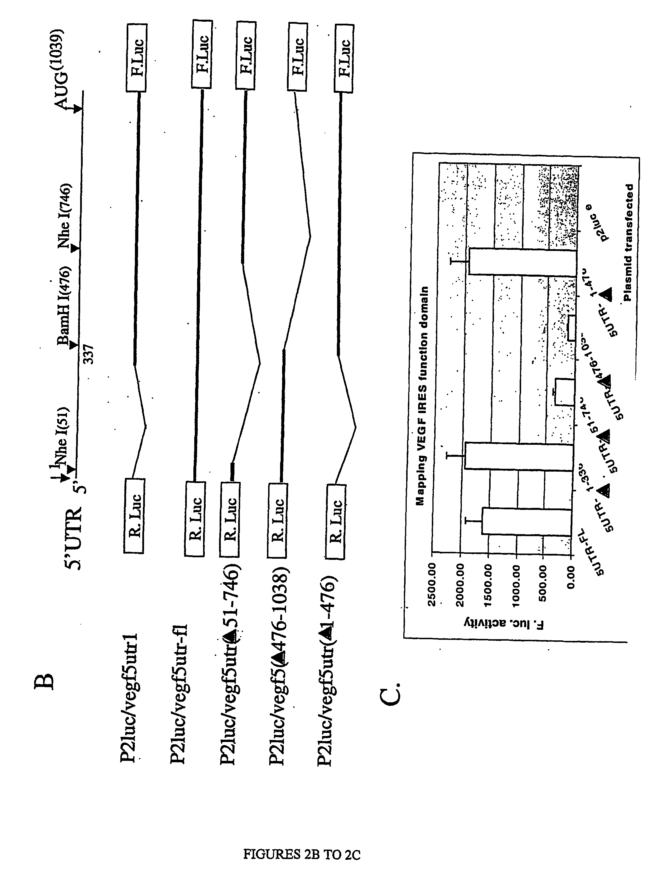 Methods for identifying compounds that modulate untranslated region-dependent gene expression and methods of using same