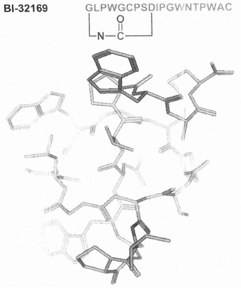 Chemical Total Synthesis of Lasso Polypeptide