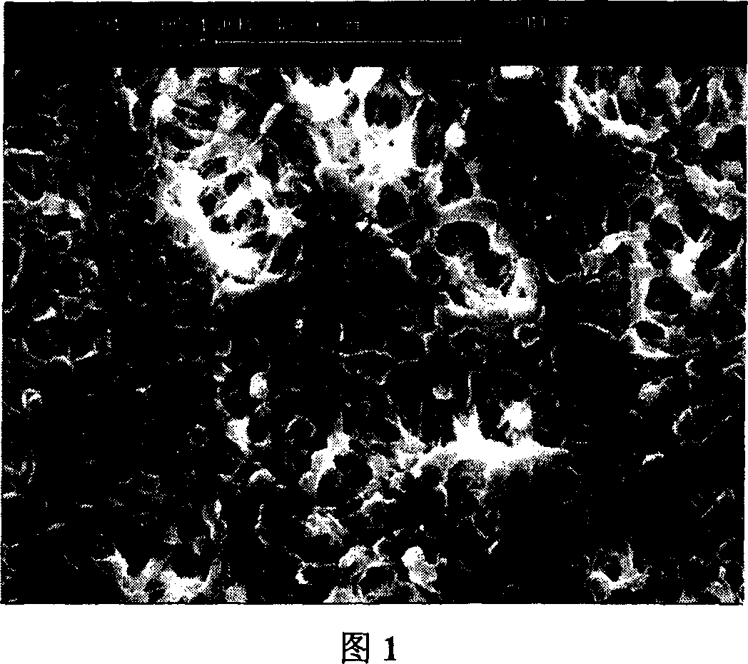 Process for preparing hybridized porous lithium ion cell electrolyte film