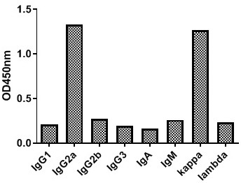 Nucleic acid antibody combined detection kit for pathogenic bacteria