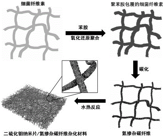 Molybdenum disulfide nanosheet/nitrogen-doped carbon fiber hybrid material and preparation method therefor