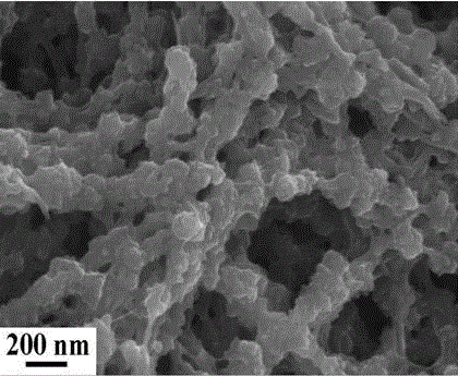 Molybdenum disulfide nanosheet/nitrogen-doped carbon fiber hybrid material and preparation method therefor
