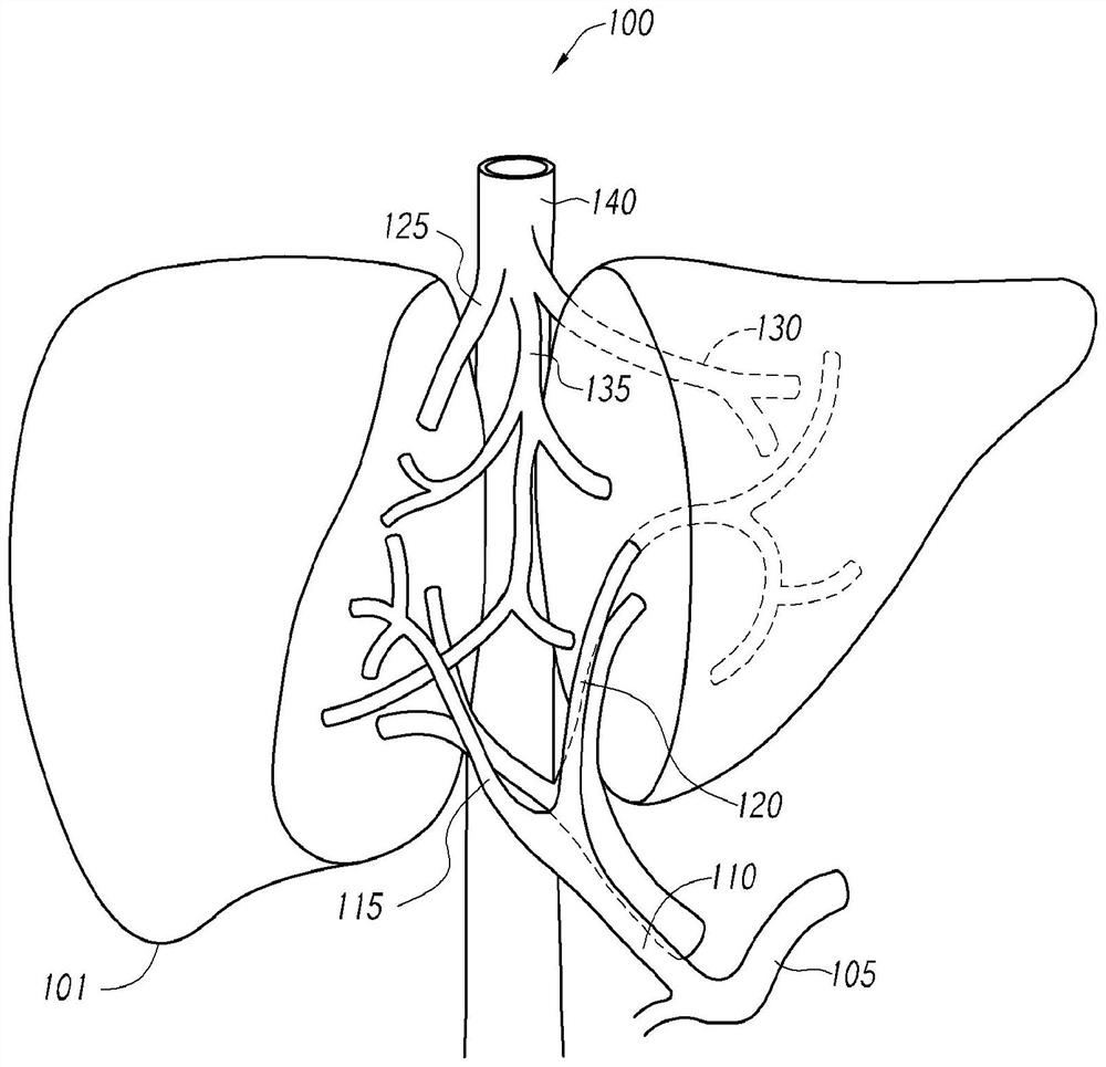 Therapeutic tissue conditioning devices and methods